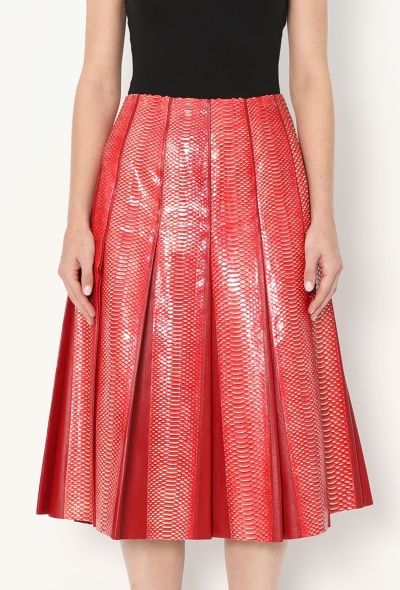 Céline Python Pleated Lambskin Skirt - 2