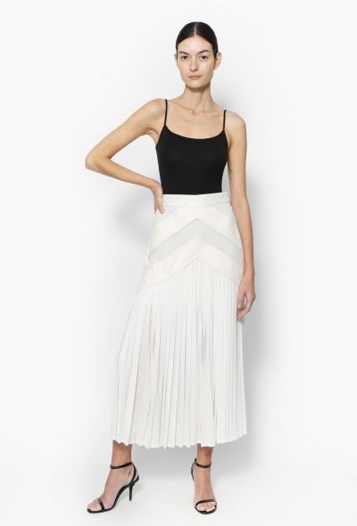 Céline Pre-Fall 2017 Arrow Skirt - 1