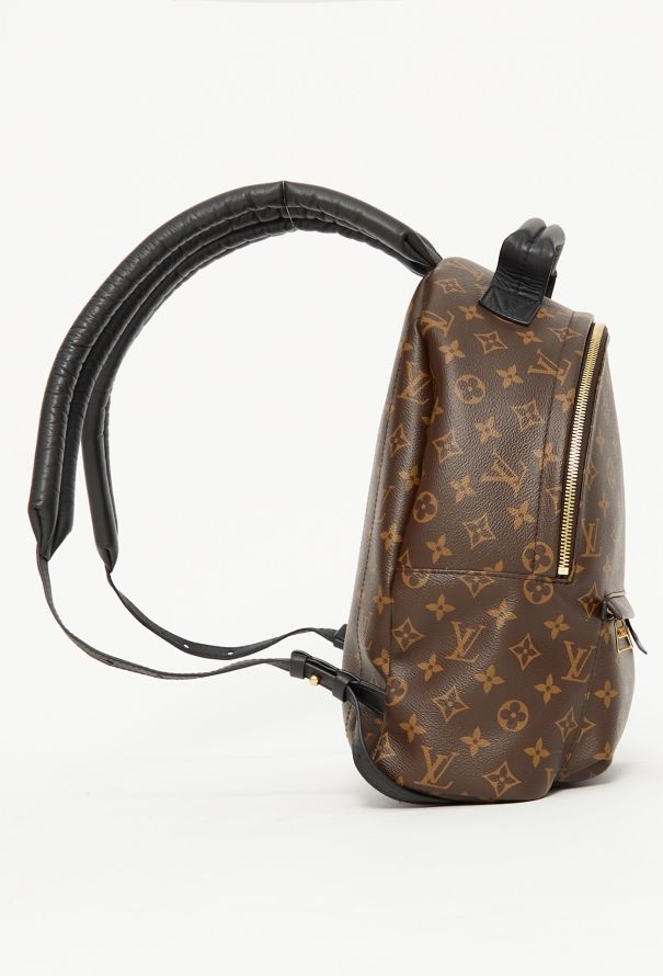 Louis Vuitton 2021 Palm Springs Backpack - 6
