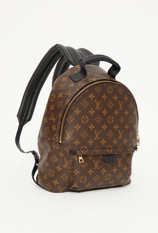 Louis Vuitton 2021 Palm Springs Backpack - 4