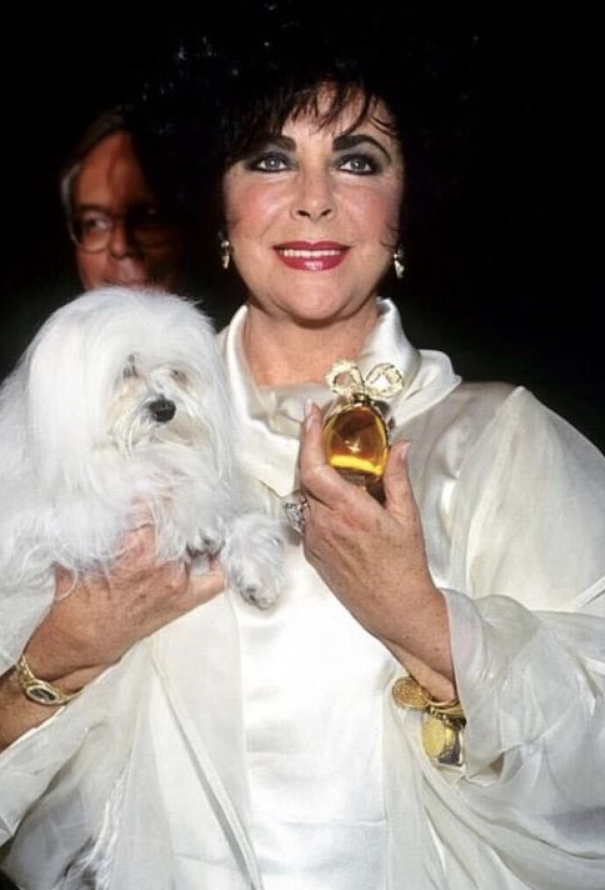 Vintage Fine Jewelry Set of 16 Coin Charm Bracelets, owned by Elizabeth Taylor - 6