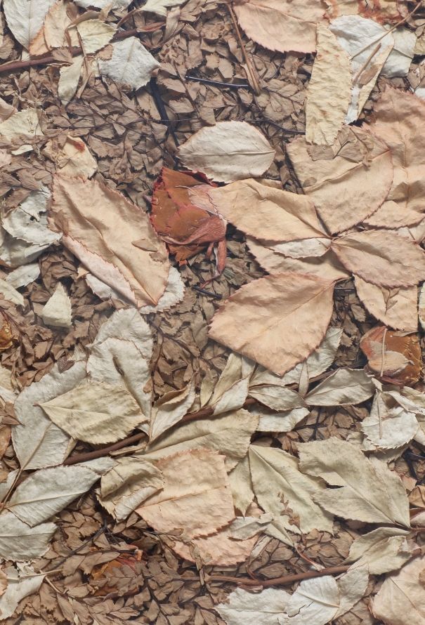 Dior Vintage Casted Leaves Platter - 5