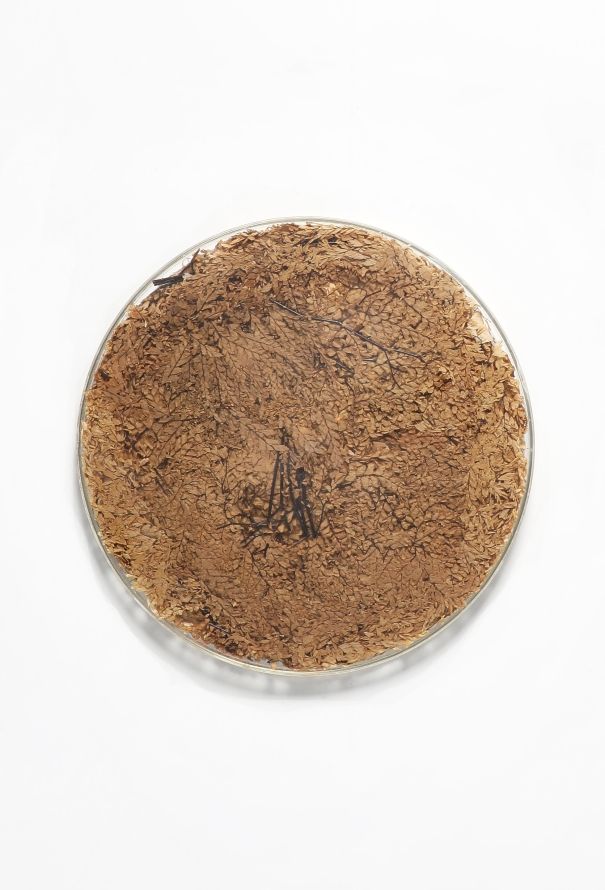 Dior Vintage Casted Leaves Platter - 4