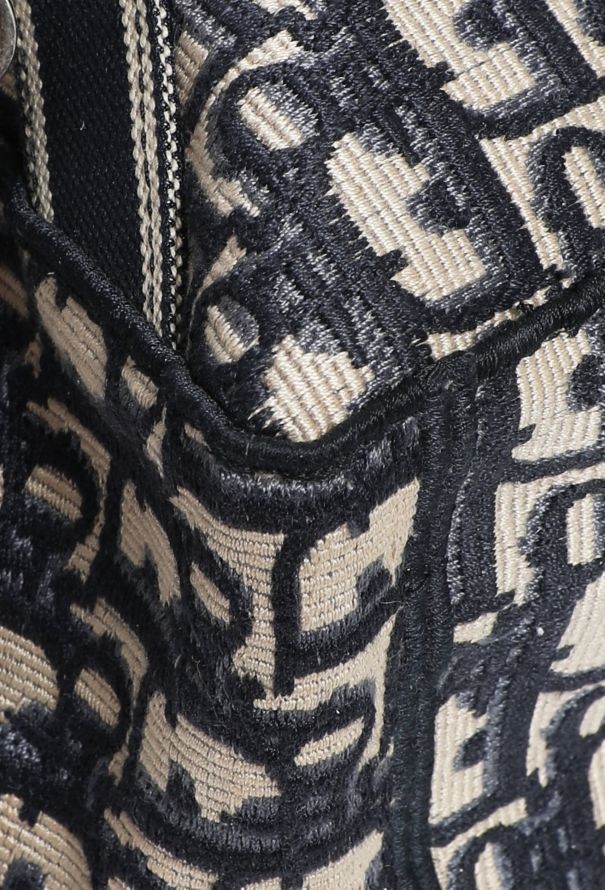 Dior 2020 Oblique Backpack - 10