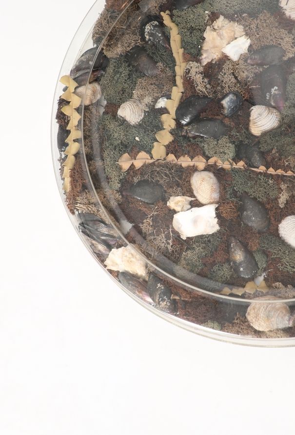 Dior '70s Casted Seashell Platter - 4