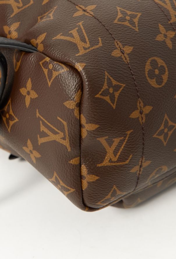 Louis Vuitton 2021 Palm Springs Backpack - 10