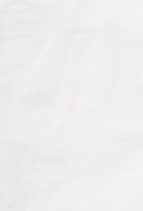 Céline Classic Rounded Skirt - 5