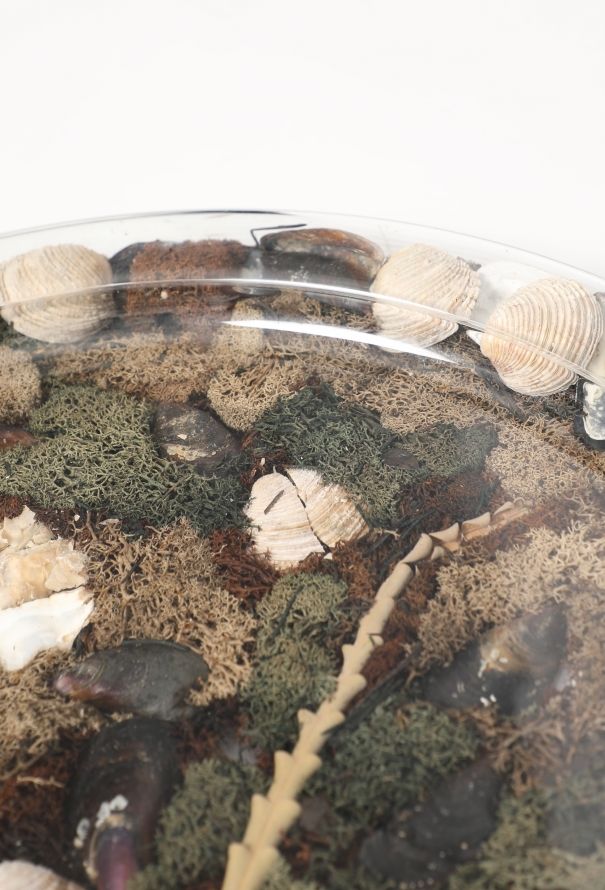 Dior '70s Casted Seashell Platter - 5