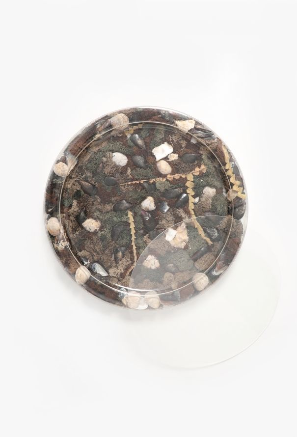 Dior '70s Casted Seashell Platter - 3