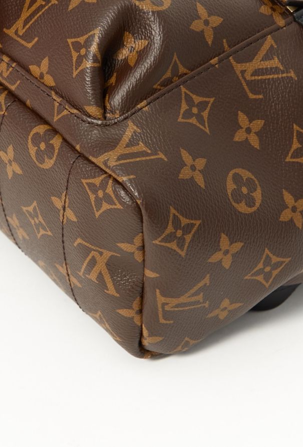 Louis Vuitton 2021 Palm Springs Backpack - 9