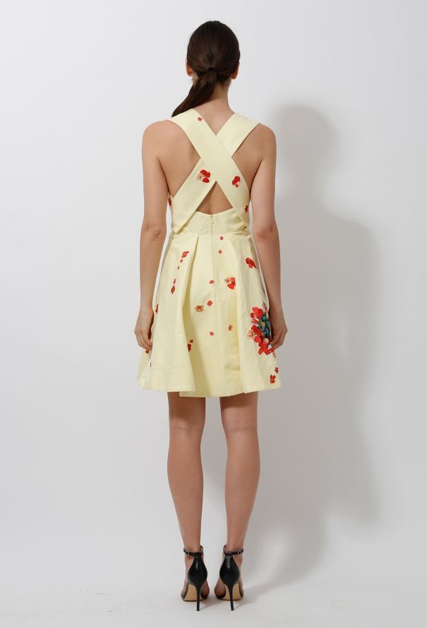 Erdem Spring 2011 Embroidered Dress - 5