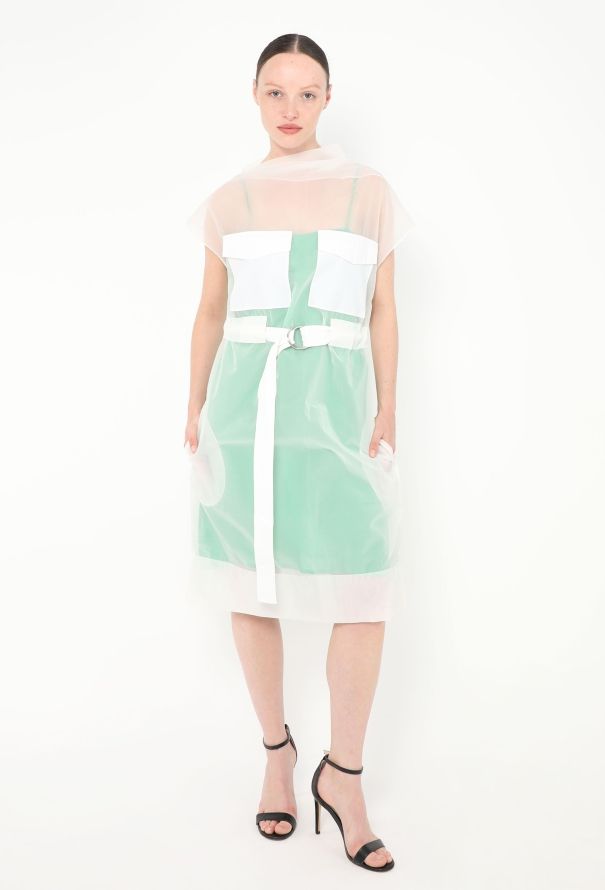 Céline Resort 2014 Organza Overlay Dress - 4