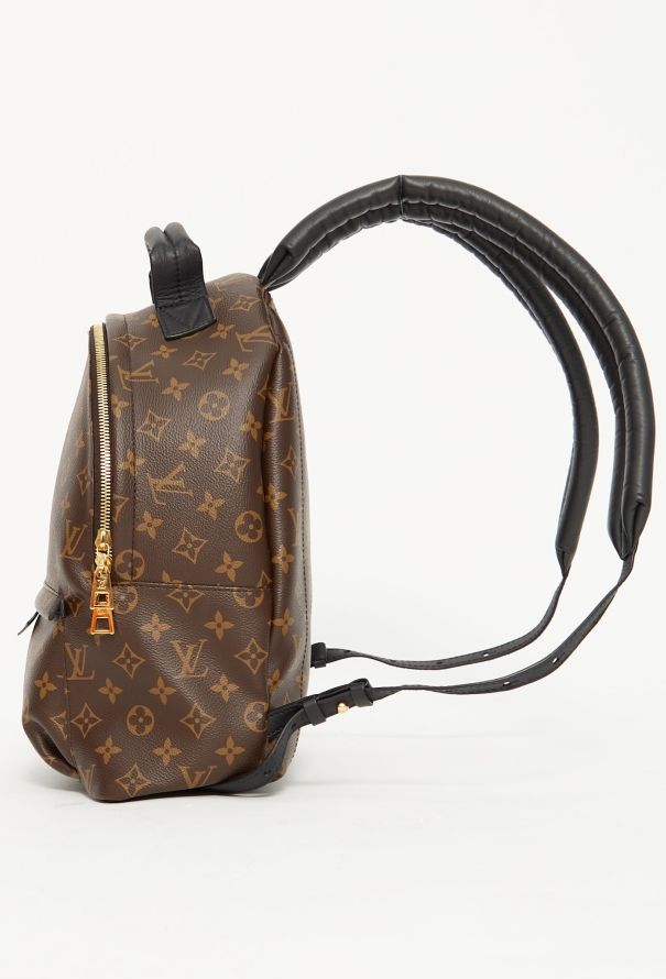 Louis Vuitton 2021 Palm Springs Backpack - 7