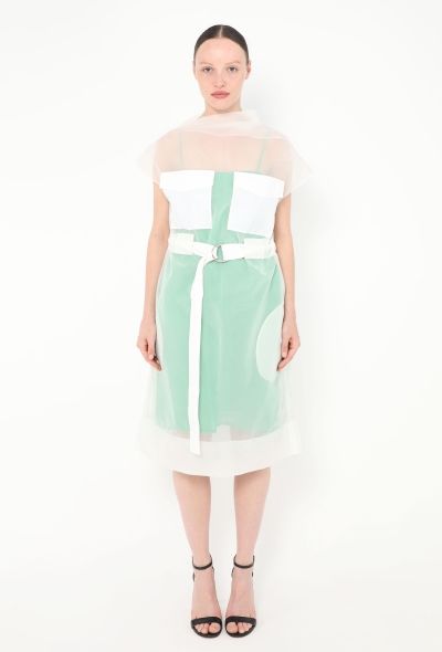 Céline Resort 2014 Organza Overlay Dress - 1