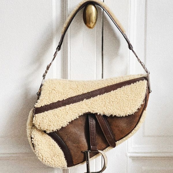 The Dior Saddle Bag